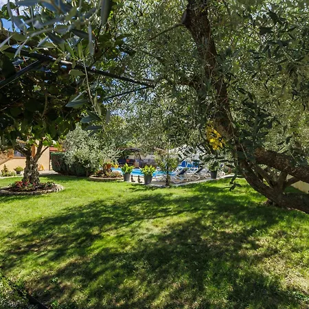 Nena-1 By Interhome Nova Vas (Porec)
